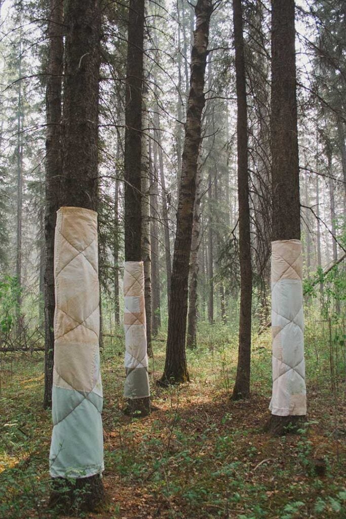 "Blanket Ceremony for the Forest" by Rewilding Arts Prize finalist Lara Felsing. Photo courtesy the artist.
