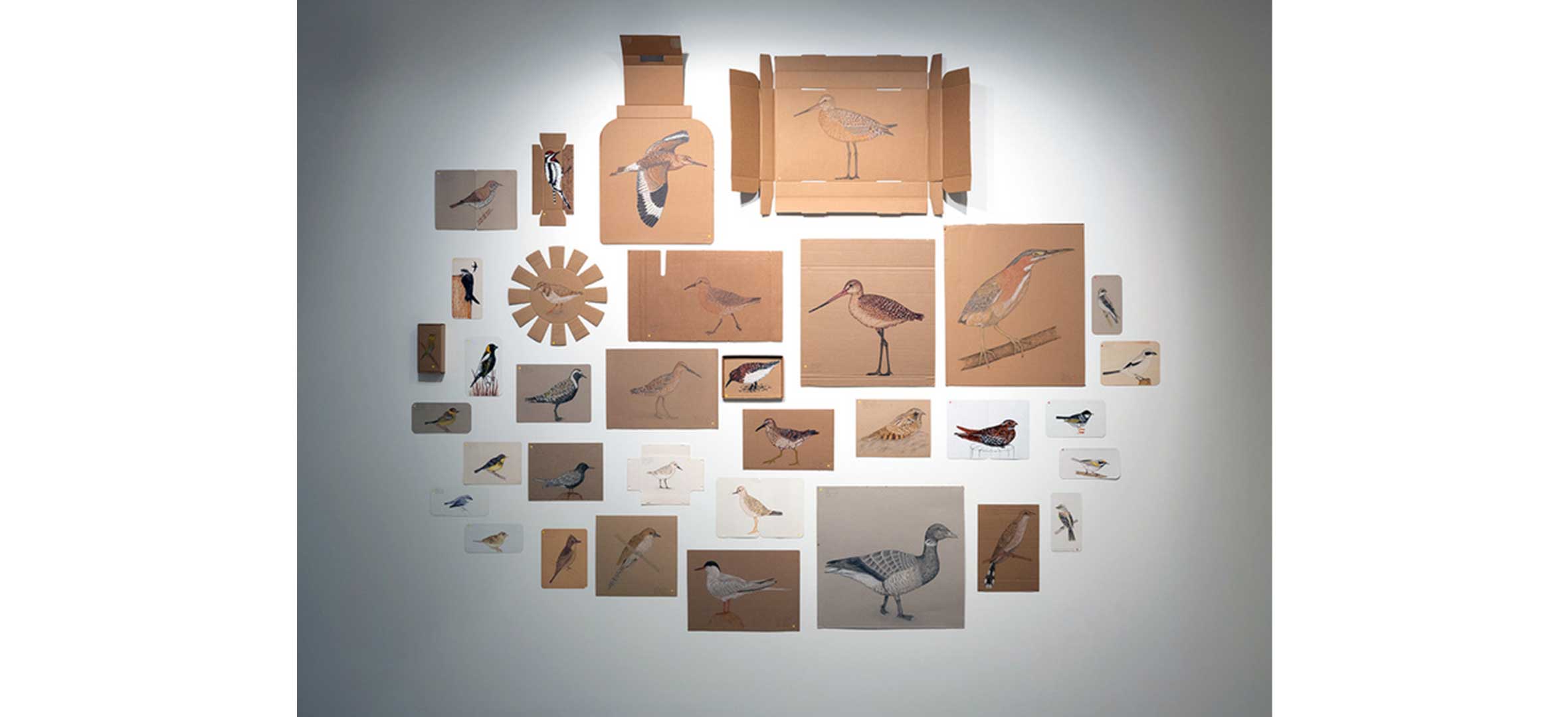 Maria-Ezcurra—Migrantes-Neotropicales-y-Otros Maria Ezcurra - Migrantes Neotropicales y Otros