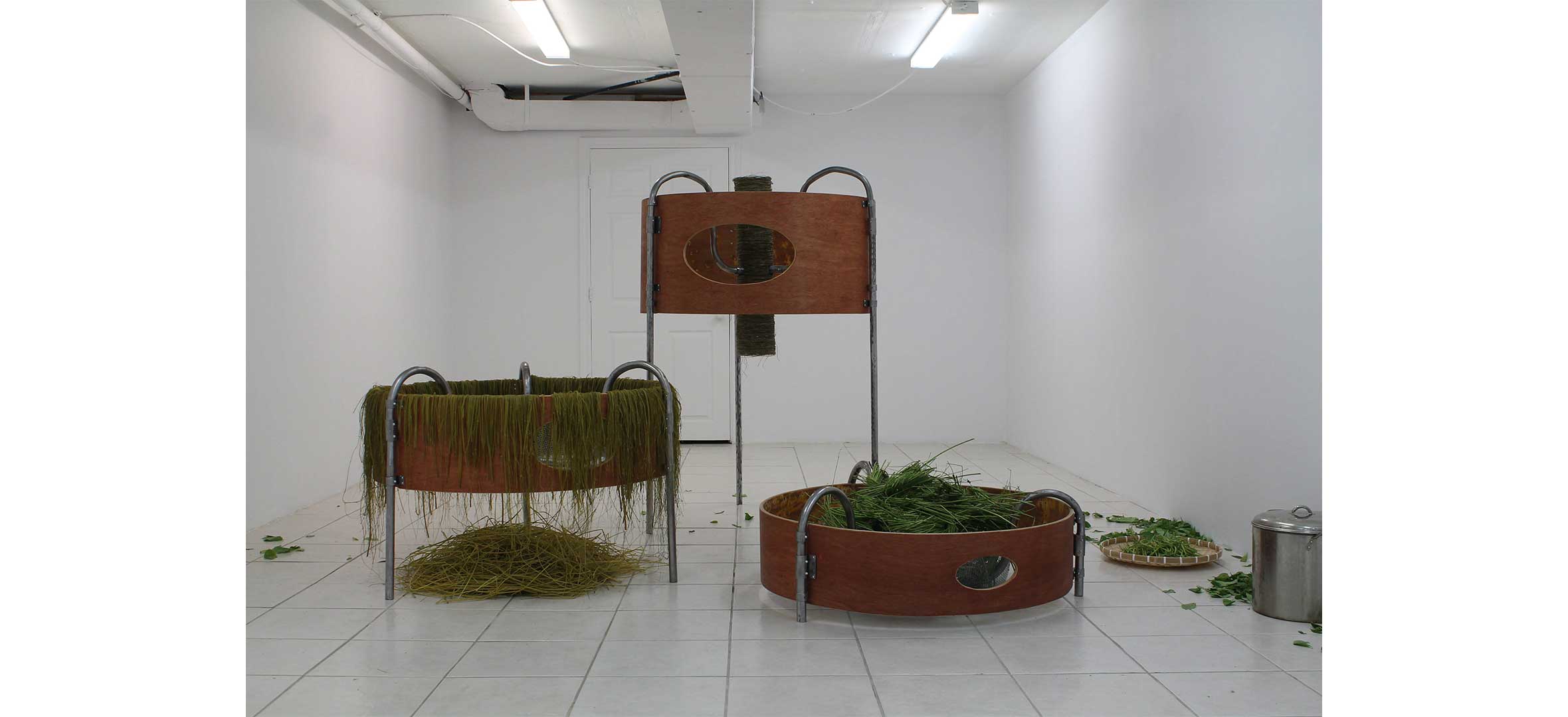 Masumi-Rodriguez-and-Elena-Kirby-image Masumi Rodriguez and Elena Kirby