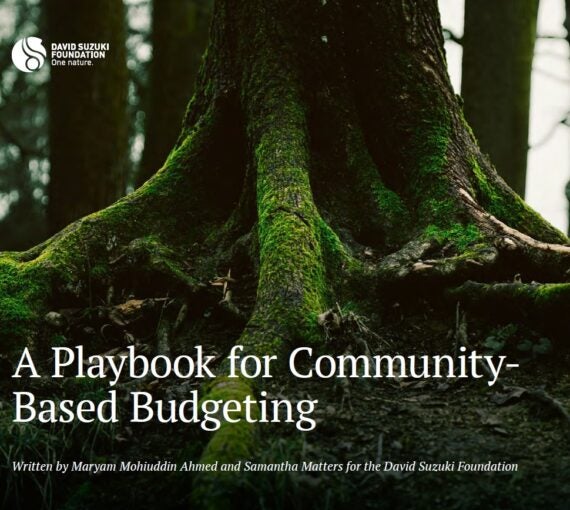 Thumbnail of a playbook for community based budgeting