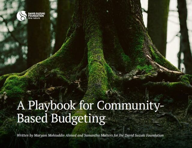 Thumbnail of a playbook for community based budgeting