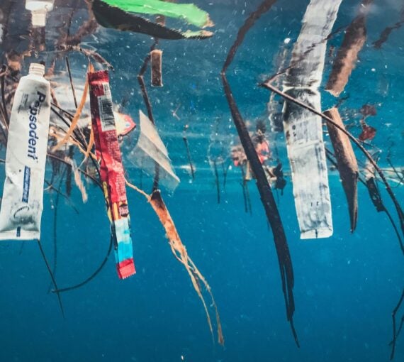 Plastic rubbish floating in water