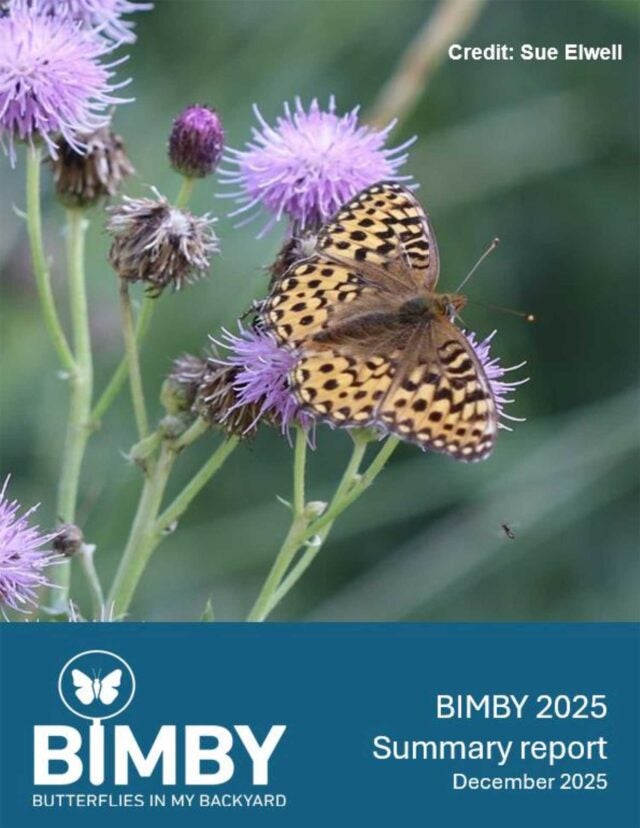 BIMBY 2025 Summary Report