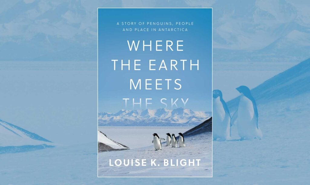 Where the Earth Meets the Sky