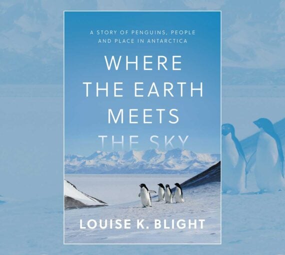 Where the Earth Meets the Sky