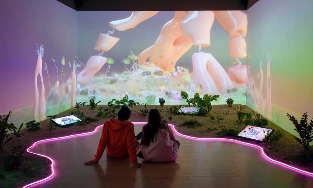 Rewilding arts prize 2026