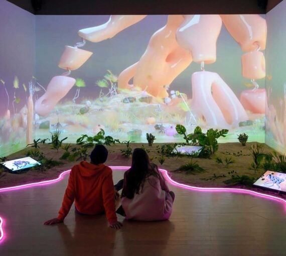 Rewilding arts prize 2026