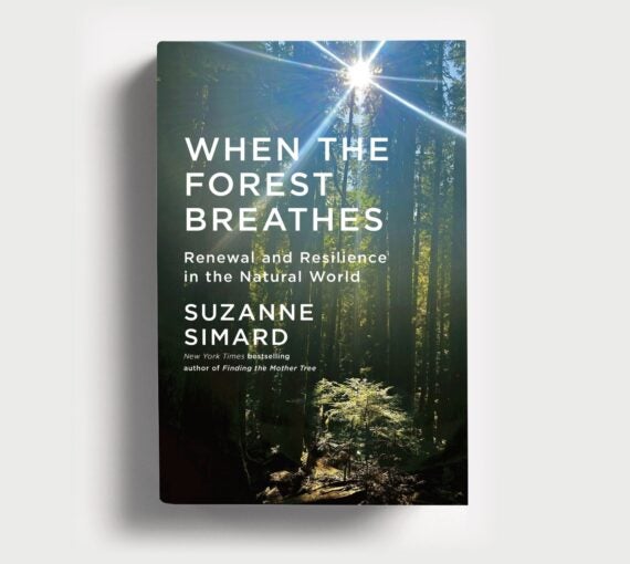 The front cover of the book 'when the forest breathes' by Suzanne Simard