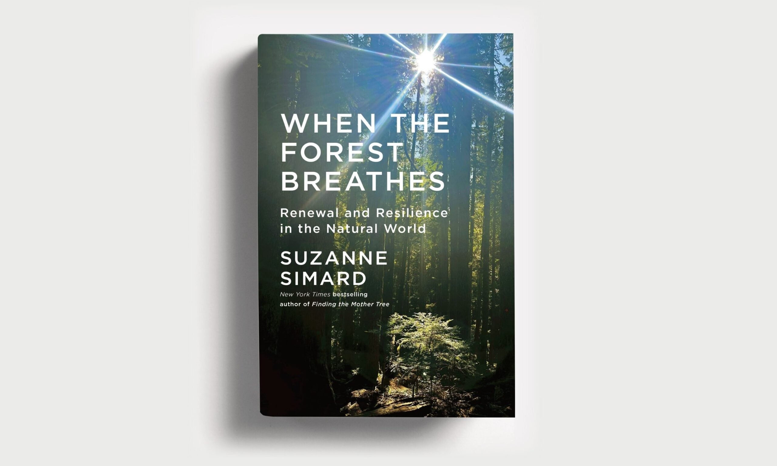 The front cover of the book 'when the forest breathes' by Suzanne Simard