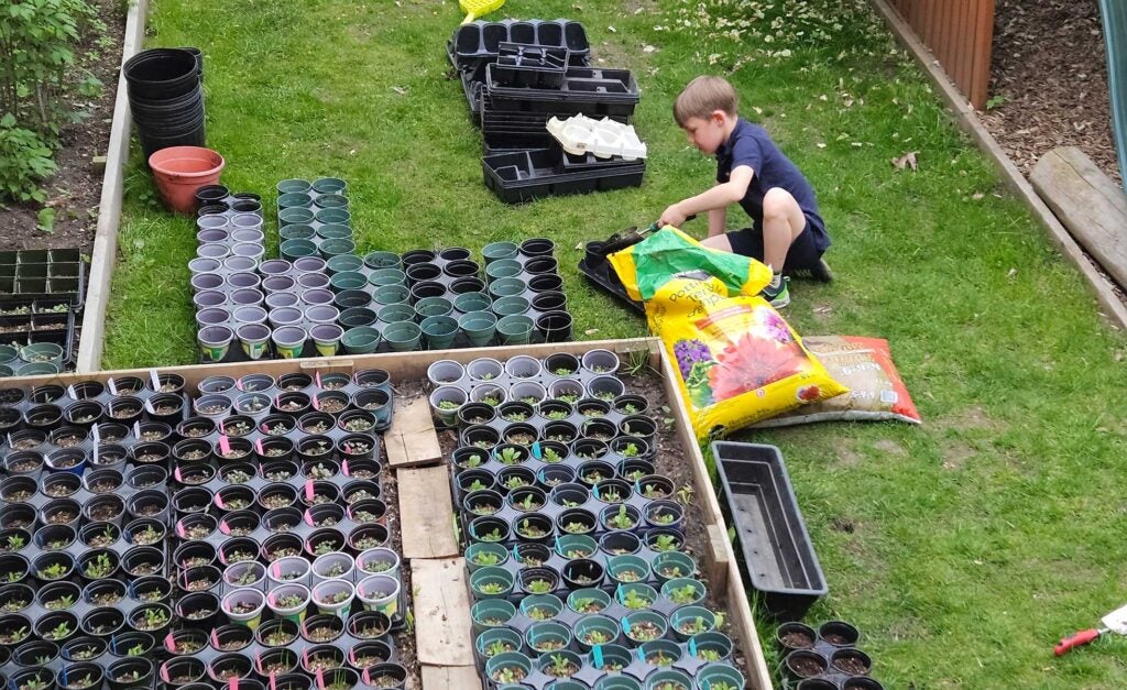 Leonardo helping grow native plants in his Toronto backyard that will support bees, butterflies and other pollinators.