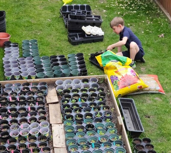 Leonardo helping grow native plants in his Toronto backyard that will support bees, butterflies and other pollinators.