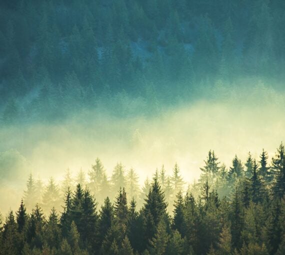 View of misty mountains.
