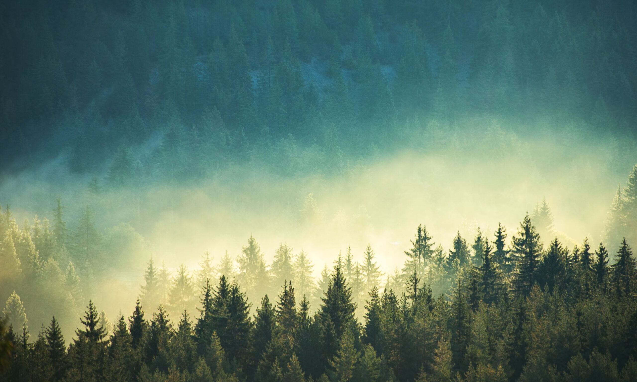 View of misty mountains.