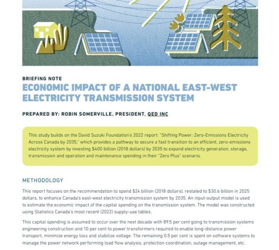 Front page of the report 'Economic impact of a national east west electricity transmission system