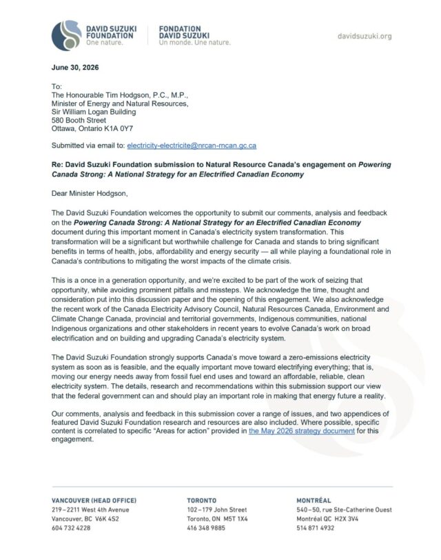 Thumbnail of the DSF submissions to Natural Resource Canada's engagement on Powering Canada Strong: A National Strategy for an Electrified Canadian Economy