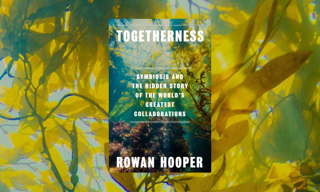 Cover of the book Togetherness