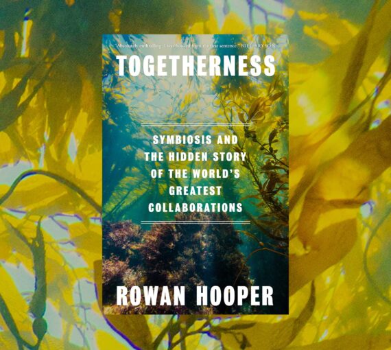 Cover of the book Togetherness